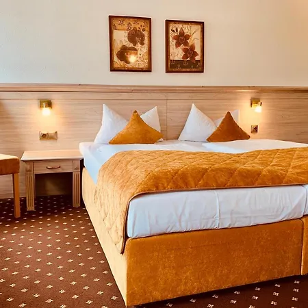 Hotel Rheinhotel St. Goar 2*